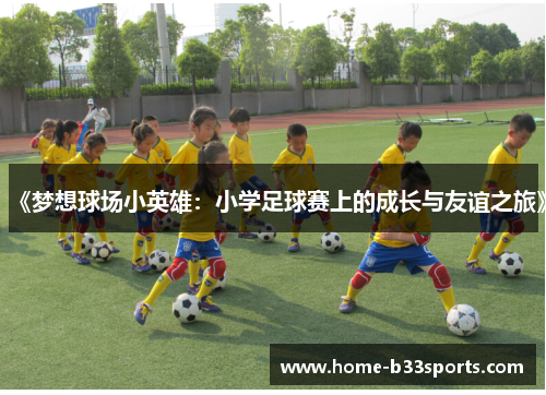 《梦想球场小英雄：小学足球赛上的成长与友谊之旅》