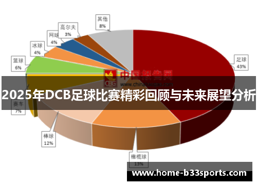 2025年DCB足球比赛精彩回顾与未来展望分析